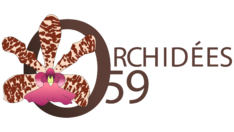 logo Orchidées 59
